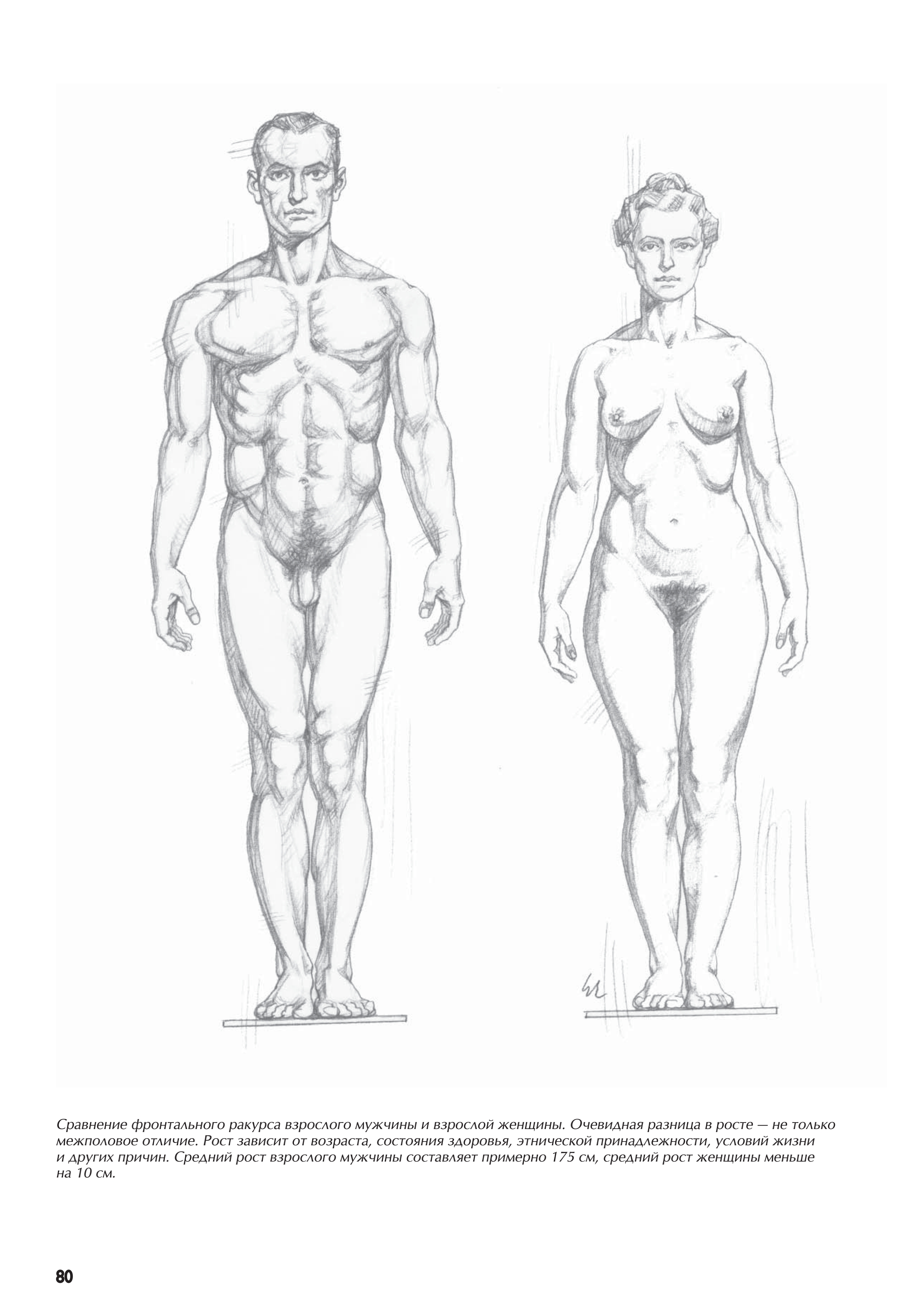 آموزش نقاشی طراحی سیاه قلم شهرری